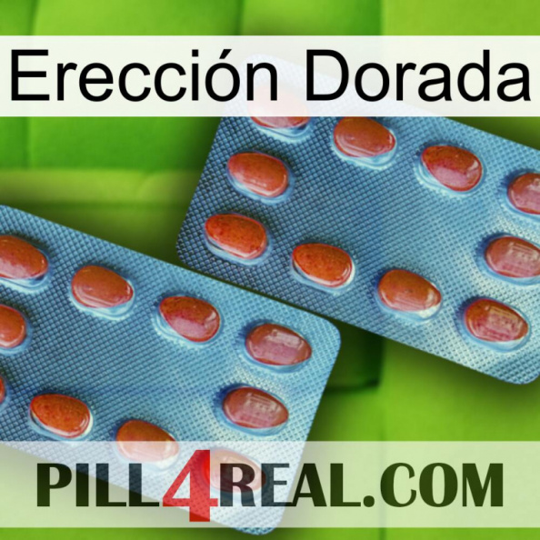 Erección Dorada 05.jpg